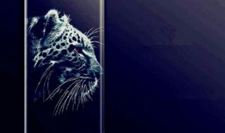 诺基亚手机怎么换墙纸 诺基亚手机壁纸全屏