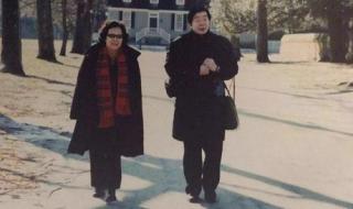 艺术人生西游记 艺术人生西游记