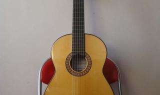 斯卡布罗集市吉他女是谁 斯卡布罗集市吉他