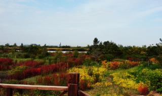 张掖国家湿地公园