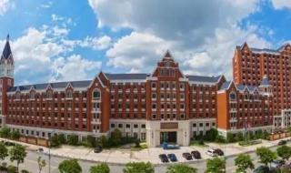 公派留学申请条件 怎样申请公费留学