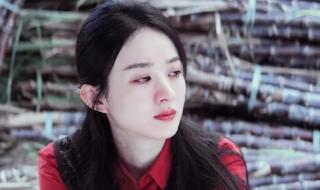 采访赵丽颖的记者是谁 赵丽颖演的雷金玉