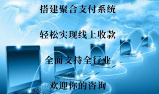 第三方支付接口api 第三方支付接口api