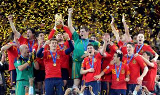 08年世界杯谁夺冠了